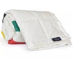 Pendleton Reversible Glacier Stripe Throw 100 Years National Park Collection. Fixed Price $229.99.