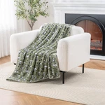 Berkshire Blanket Peanuts Velvetloft Cute Character Snoopy Plush Throw Blanke.... Fixed Price $27.55.