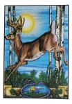 Whitetail Deer Fleece Blanket Throw All Season 50 X 60 Cabin Decor 2-SIDED. Fixed Price $17.95.