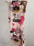 Disney Minnie Mouse Plush Throw Nwt Friends Fur-ever 2025 50IN X 70IN Franco. Fixed Price $29.99.