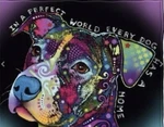 Colorful Pit Bull Fleece Blanket For Bed, 50 X 60 Inches Dean Russo .... Fixed Price $20.00.