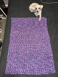 26 X 38 Pink, Purple Blue Crochet Blanket. Handmade By My Nana. Fixed Price $8.50.