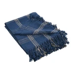 Creative Co-op Recycled Cotton Blend Throw Blanket With Fringe Blue Plaid. Fixed Price $28.74.