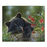 American Heritage Royal Plush Bear Throw Blanket "wish Could Fly", 50" X 60". Fixed Price $33.88.