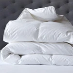 Renee Taylor 600 Gsm Deluxe High Loft Quilt With Cotton Cover Premium Microfi.... Fixed Price $115.82.