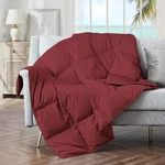 Puredown Soft Throw Blanket Lightweight Packable Couch For Indoor. Fixed Price $56.79.