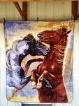 Horses Young Studs Queen Size Blanket. Fixed Price $58.21.