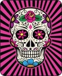 Queen Size Pink Black White Sugar Skull Mink Faux Fur Blanket Super Plush Gift!. Fixed Price $64.99.