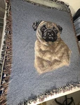 Pug Fur Baby Pet Dog Throw Blanket 51X60 Afghan Tapestry J Gibson 137 Read. Fixed Price $23.00.