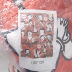 Betty Boop Soft Throw Blanket 100X130CM. Fixed Price $21.22.