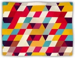 Kess Inhouse Dog Blanket 60" X 50" Danny Ivan Kyoto Multi Color Tf. Fixed Price $14.98.