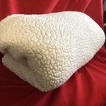 Northpoint Thick Sham/velvet Reversible Throw. Fixed Price $8.00.