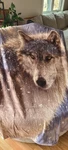 Dawhud Direct Lone Wolf Fleece Blanket For Bed 50X60 Throw Kids. Fixed Price $20.00.