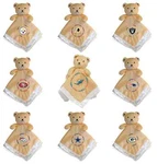 Nfl Security Bear Receiving Blanket - Choose Your Team Trim Colors Vary. Fixed Price $17.99.